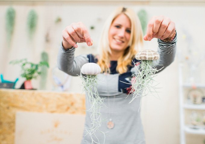 Airplant_Creativelife_29_0.jpg
