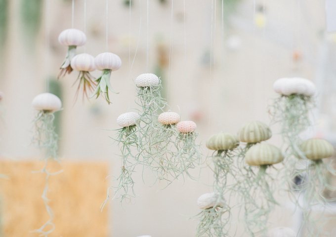 Airplant_Creativelife_83.jpg