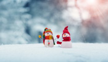 AdobeStock_291490587.jpeg
