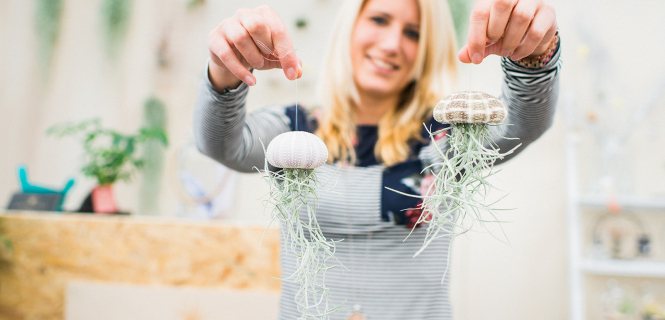 Airplant_Creativelife_29.jpg