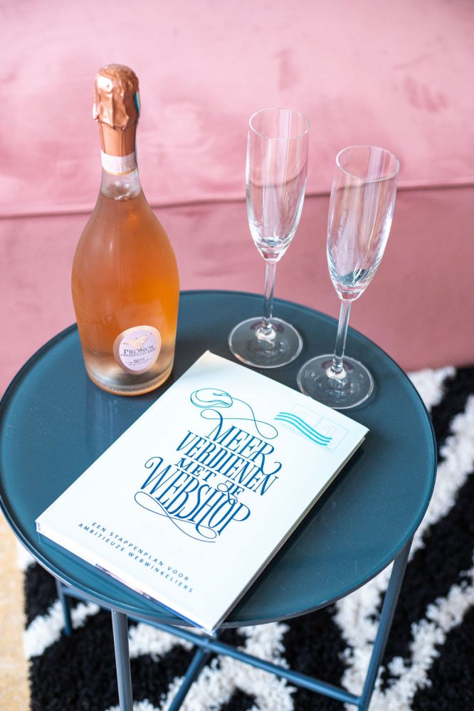 Boek Succes met je Webshop