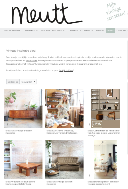Zo plaats je een blog in je webshop Meutt.nl_.png